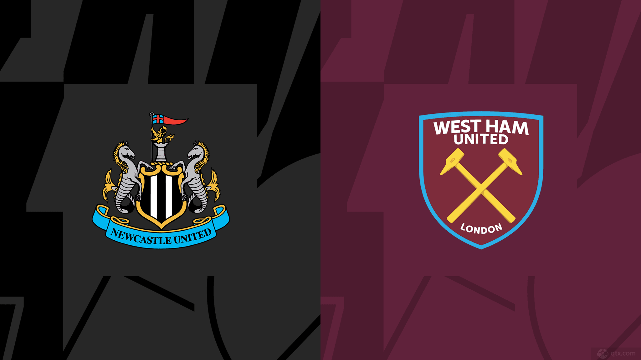 鲨鱼心态 鲨鱼心态